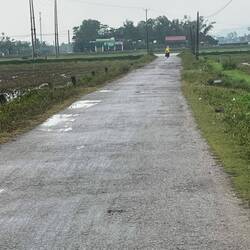 Path amongst the crops