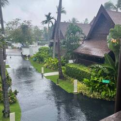 Rainy Days gits au 😊