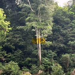 Bis dahin steht manchmal das Wasser