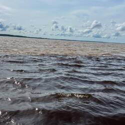 Rio Negro und Amazonas