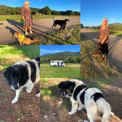 ..sie ist schon viele Jahre hier im Winter und der große Elea-Hund Bruno ist ein ganz lieber Kerl 🐶