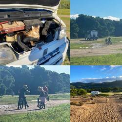 ..hier ist immer was los in der weitläufigen Nachbarschaft 😅