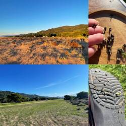 ..sehr schön sauber ist es überall, aber lästig stachelige Dinger sind richtige Übeltäter 🫣