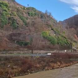 Das berühmte Restaurant "Bunte Kuh"....