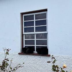 Die zwei suchten Zuflucht vom Regen 🌧️