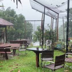 Birner Kleiner Schauer im Amazonas - diesmal sitzen wir trocken