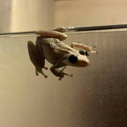 Besuch in der Dusche