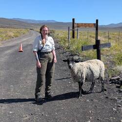 Zwei Kluge, ein Gedanke