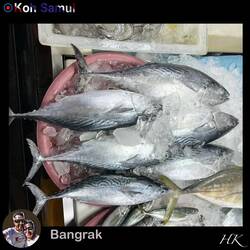 Bangrak Markt