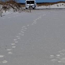 Keine Angst, Mademoiselle steht auf festem Boden 😉