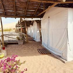 Zelt statt Hotelzimmer ⛺️