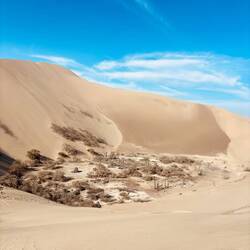 Eine der ausgetrockneten Oasen 🙅‍♂️💧