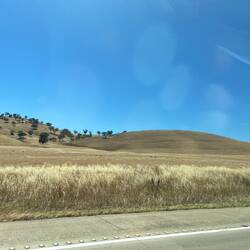 From the car as we break free of Goulburn city limits.