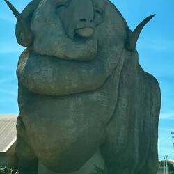 The Big Merino as we left Goulburn.