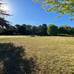 A rock in the field by the great Anglican Cathedral of Goulburn.