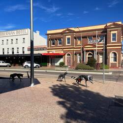 We went for a walk for dinner. I don't understand this sculpture.