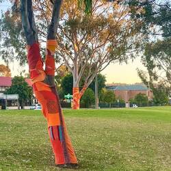 Albury - knitted tree jumpers look great!