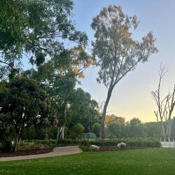 Hovell Tree Park, Albury