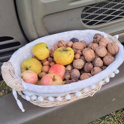 Willkommensgruß am Stellplatz in Pignola