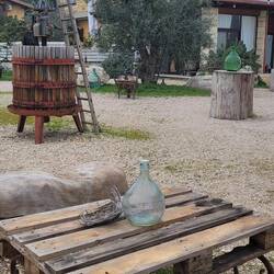 Übernachtung auf einem Weingut