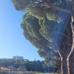 Auf zum Castel del Monte