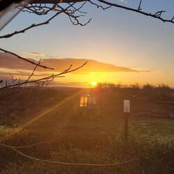 Sonnenaufgang am Stellplatz in Andria