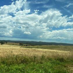 On the road to Bendigo through this high country.