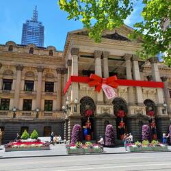 Melbourne Town Hall by Graham