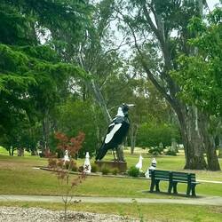Euroa also had a Big Magpie!