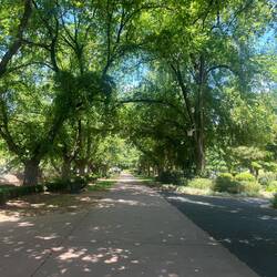 The park was very consoling