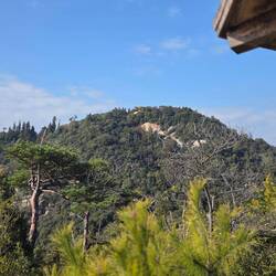 We decided to walk to that building on the other hill, also known as Mt Misen