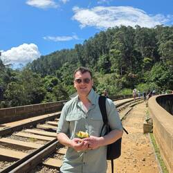 Will snacking on Jackfruit