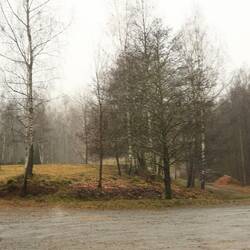 Stellplatz im Nebel bzw. trüben Wetter...der Spaziergang fällt aus