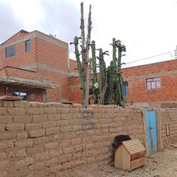 Modernes Haus mit alter Mauer