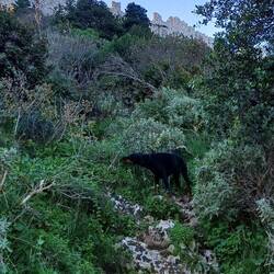 Klettermaxe Lesley 🐾🥰