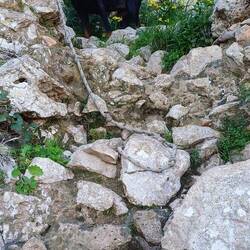 ..wir sagen auch gerne unser Pferd zu ihr, aber heute passt Gams ganz gut.. 🤣