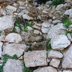 Erich und Lesley sind ganz schön gekraxelt um da rauf und runter zu kommen 😅