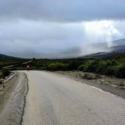 5 Minuten-Sonnen-terrine
