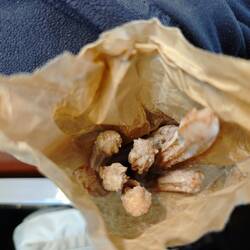 Churros als Wegzehrung