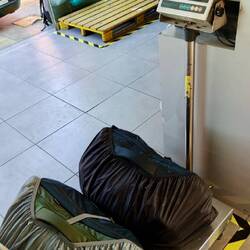 Gewichts-Check ⚖️ am Bus