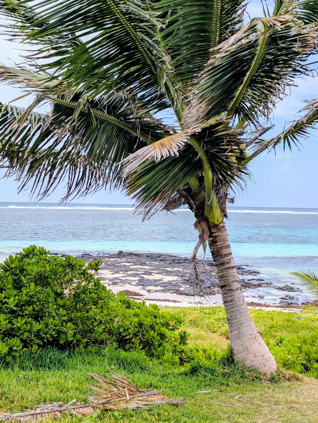 Hier sieht man deutlich noch Lava im Meer