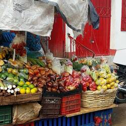 Jedes Obst einzeln in Plastik verpackt
