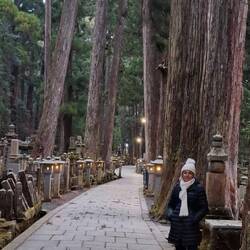 These trees and this setting is amazing