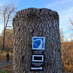 Kaum Zweifel möglich!👍