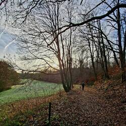 Die Wiese war noch leicht gefroren.