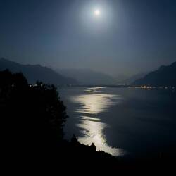 Light from the moon glittering on Lake Geneva — Saint-Saphorin, Switzerland.