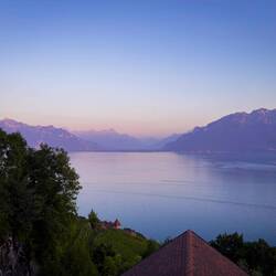 Lavender hues at sunset — Saint-Saphorin, Switzerland.