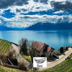 The Nest is in this former-vigneron's home — Saint-Saphorin, Switzerland.