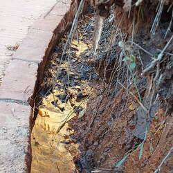 Da hängt noch ein Eiszapfen am späten Nachmittag.