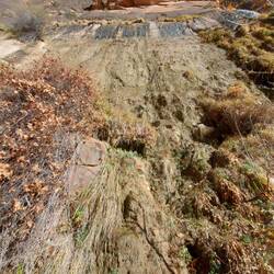 Wo Wasser ist bilden sich hängende Gärten.